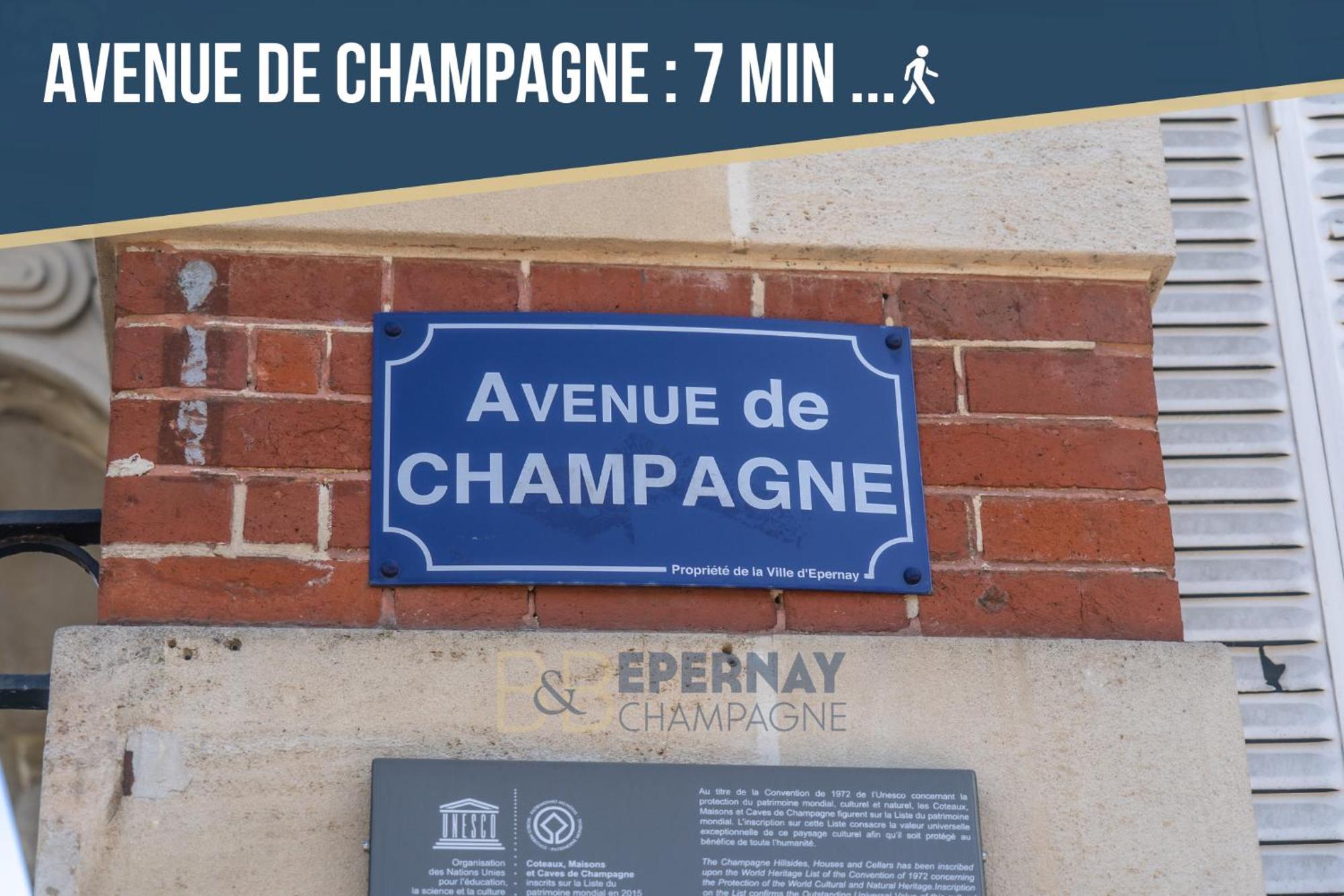 Terrasse 86 - Terrasse & Climatisation - 4-6 Personnes - Bnb Épernay Eksteriør bilde